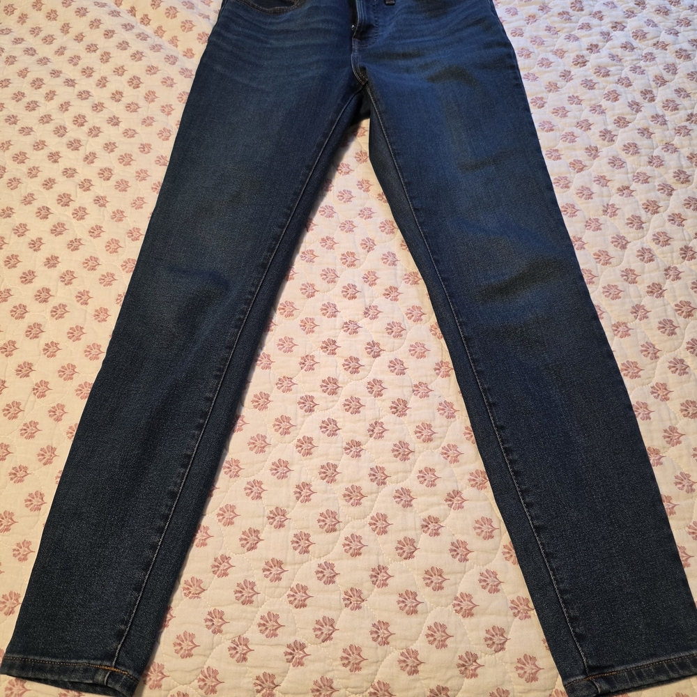 Everlane Dark Blue Skinny Jeans